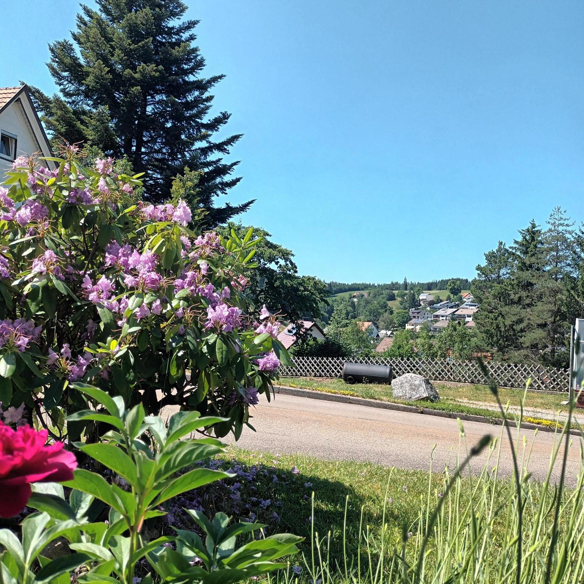 Ferienwohnung Brigachglueck Sankt Georgen im Schwarzwald Luaran gambar