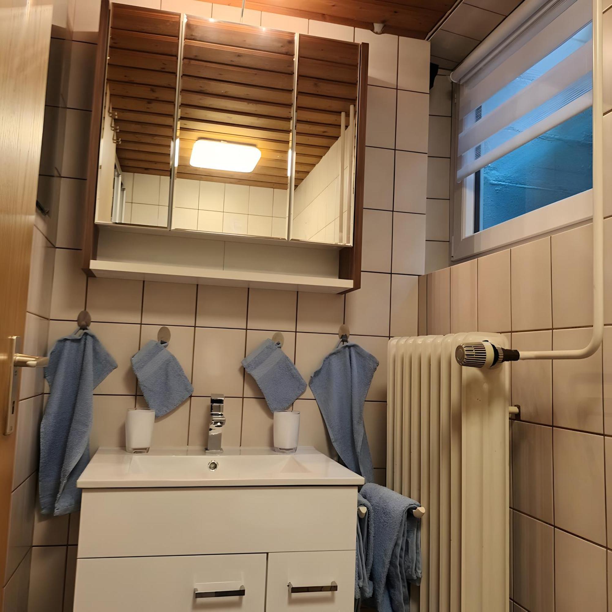 Ferienwohnung Brigachglueck Sankt Georgen im Schwarzwald Luaran gambar