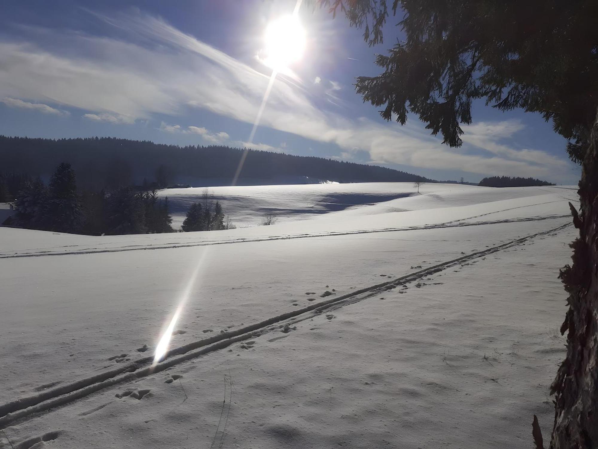 Ferienwohnung Brigachglueck Sankt Georgen im Schwarzwald Luaran gambar