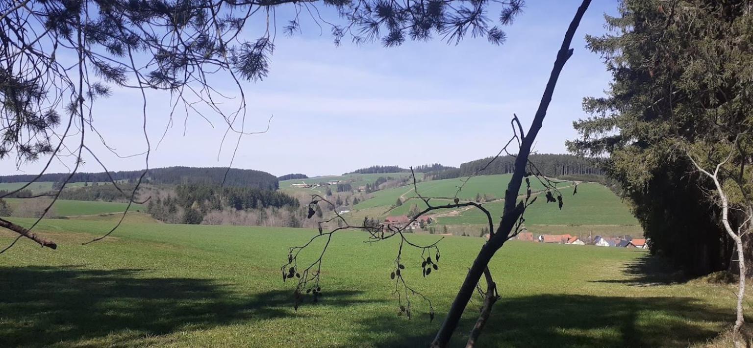 Ferienwohnung Brigachglueck Sankt Georgen im Schwarzwald Luaran gambar