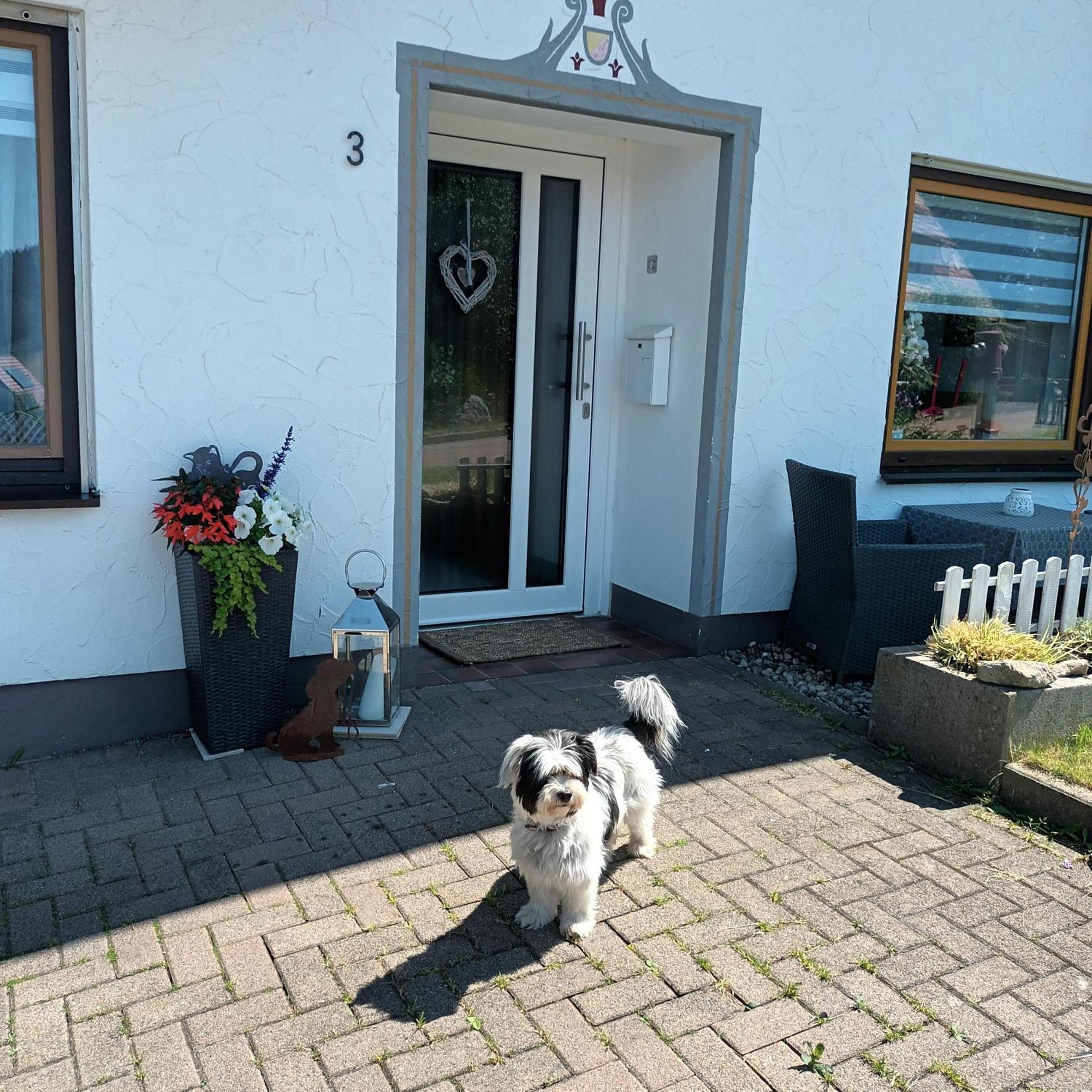 Ferienwohnung Brigachglueck Sankt Georgen im Schwarzwald Luaran gambar
